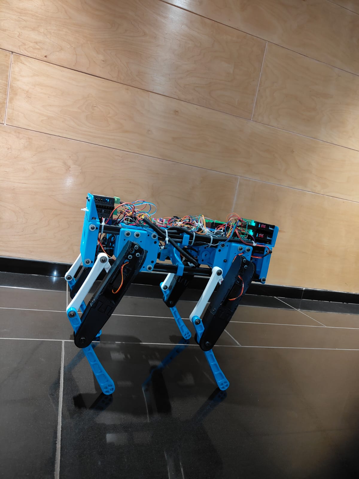 由步进电机和伺服电机制成的玩具机器狗3D数模图纸 Solidworks设计